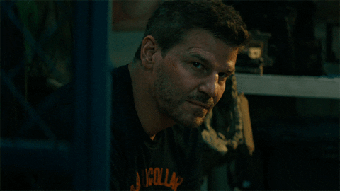 Sealteam GIF by Paramount+