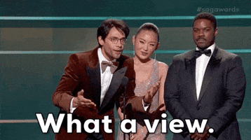 Screen Actors Guild Nice View GIF by Actor Awards