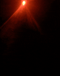 nicovuignier  GIF