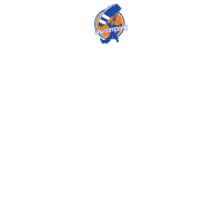 skycompany2020 skycompany eusaltei quedalivre partiuboituva Sticker