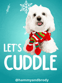 Merry Christmas Dog GIF by HammyandBrody