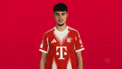 Fc Bayern Pavlovic GIF by Bundesliga
