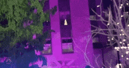 christmas in rockefeller 2018 GIF by NBC