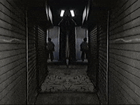 Footage Oaf GIF by jorgemariozuleta