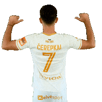 Football Player Sticker by Nike liga