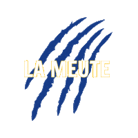 SaintAmandHandball lameute sahph saintamandhandball leslouves Sticker