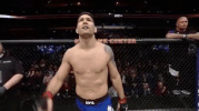 ufc 210 GIF