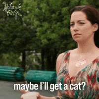 Cat Lady Bailey GIF by CBC