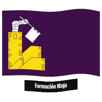 Bandera Cordoba Sticker by Formación Ninja