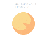 Celebration Halloween Sticker by MSD Online Shop