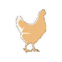 FreshlayFarms_GoldenYolker instagram stickers egg recipes Sticker