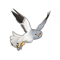 Bird Of Prey Sticker