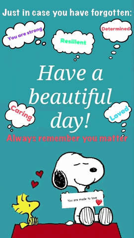 VT1 giphyattribution have a beautiful day GIF