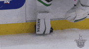 ice hockey sport GIF by NHL