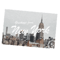 stellerstories new travel holiday vacation Sticker