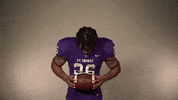 Look Up St Thomas GIF by Tommie Athletics