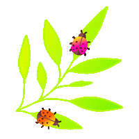 Planta Fauna Sticker