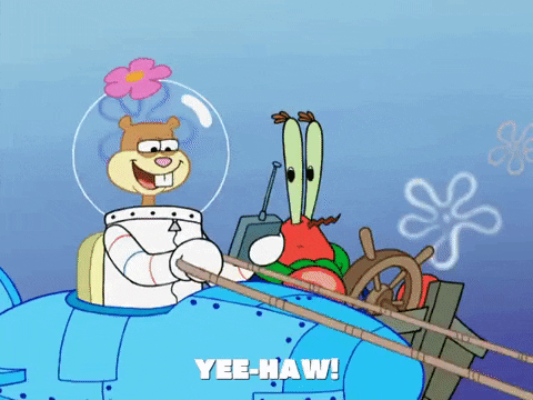 season 8 frozen face-off GIF by SpongeBob SquarePants