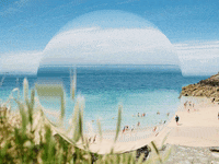 You Can Wow GIF by FranchiseONE.de