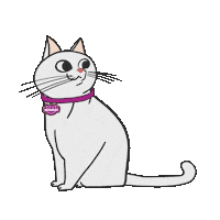 Cat Racao Sticker by Whiskas Brasil