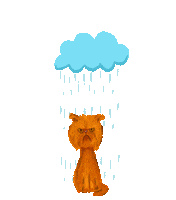 3amcrafter cat rain storm wet Sticker