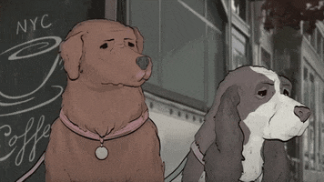 season 1 cats GIF by Animals