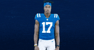 Football Nfl GIF by Indianapolis Colts