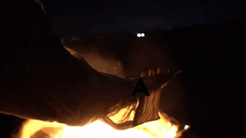 elsenderodelchaman giphygifmaker giphyattribution aho elsenderodelchaman asisea GIF