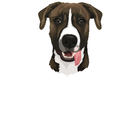 Dog Food Sticker by Snacks Homemade Treats