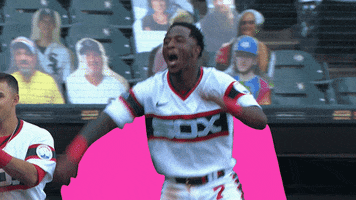 Happy Major League Baseball GIF by MLB