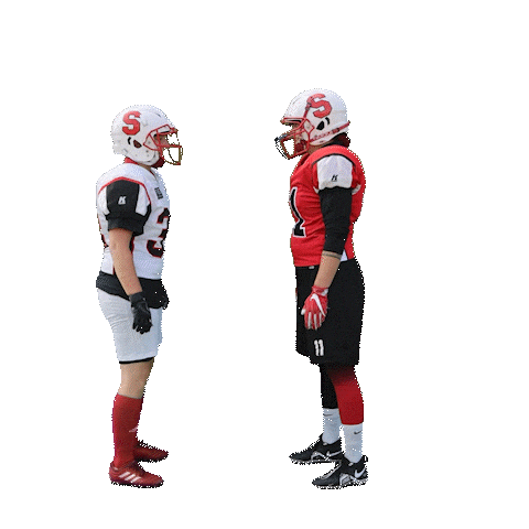 stuttgartscorpionssisters giphyupload sisters stuttgart americanfootball Sticker