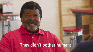 They Didn't Bother Humans