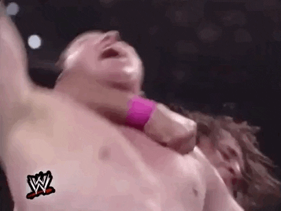 wrestlemania xi wrestling GIF by WWE