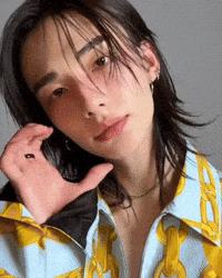Skz Versace GIF