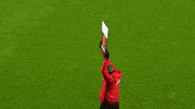 Borger Nachspielzeit GIF by Holstein Kiel