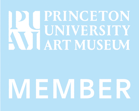 Princeton Art Museum GIF by Princeton University