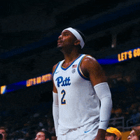Yell College Basketball GIF by Pitt Men's Basketball