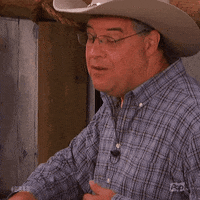 Pop Tv Bb21 GIF by Big Brother After Dark