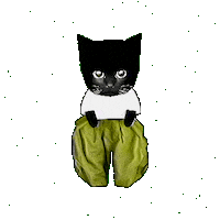 Bro Gif Sticker