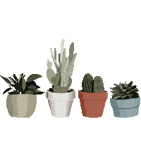 Plant Grow Sticker