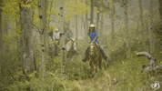 TheBroadmoor travel nature luxury hotel GIF