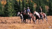 TheBroadmoor travel vacation luxury hotel GIF