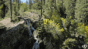 TheBroadmoor travel luxury hotel colorado GIF