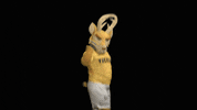 GIF by Venados FC