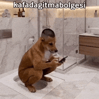 Poop Pooping GIF