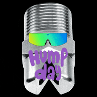 BETEFogNozzle sunglasses hump day nf bete GIF