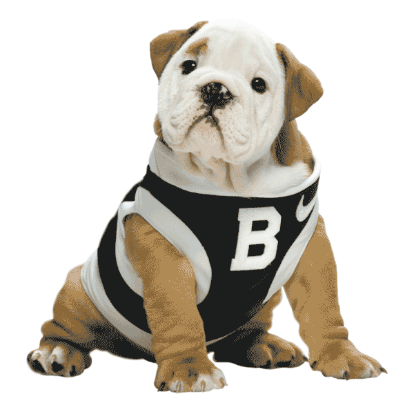 Butler Bulldogs Puppy Sticker by Butler University