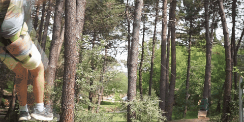 giphyupload natura arbres lleure muntanya GIF