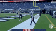 New England Patriots Football GIF by NFL