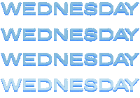 Day Week Sticker